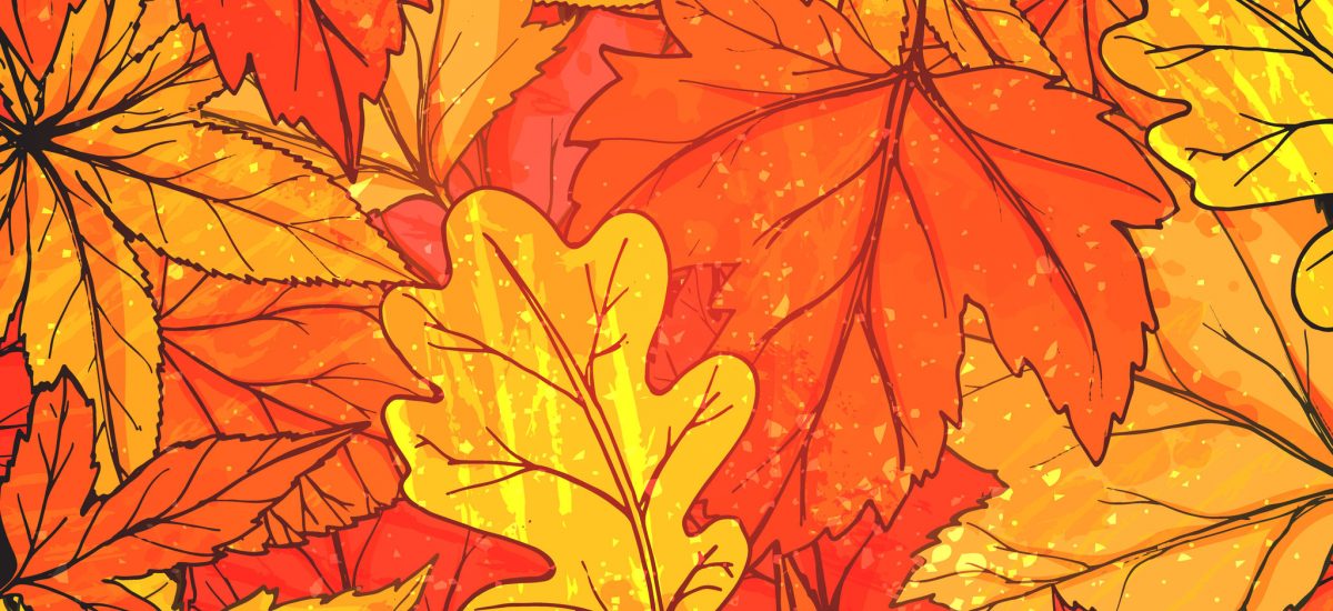 Autumn background with hand drawn golden leaves. Vector fall texture for advertisement, greeting cards and social media content.